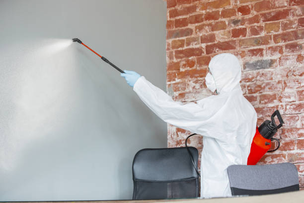 Best Commercial Mold Inspection  in San Marcos, TX