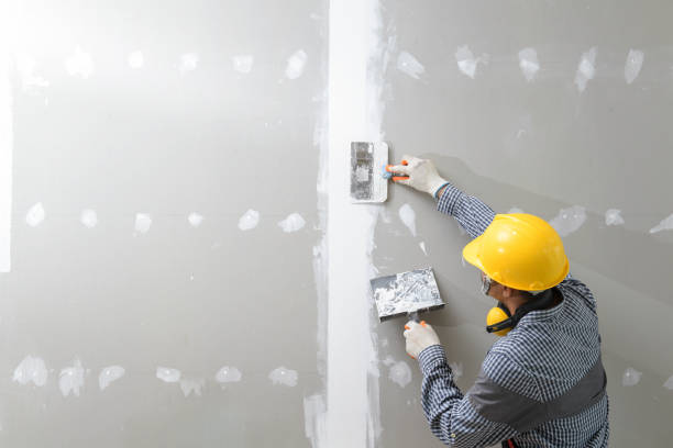 Best Air Quality Testing for Mold Spores  in San Marcos, TX