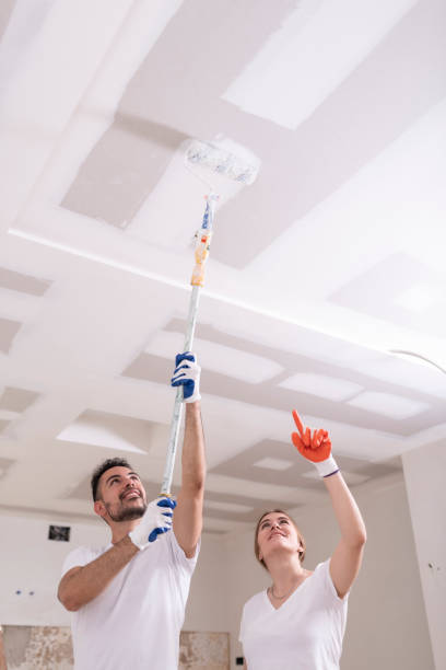 Mold Removal for HVAC Installations in San Marcos, TX